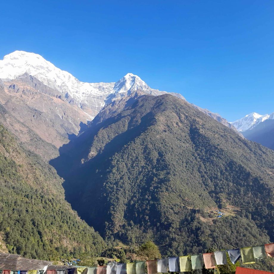 trekking sanctuaire annapurnas