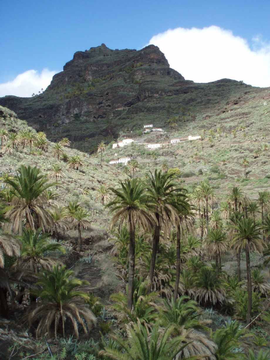 randonnée liberté la gomera