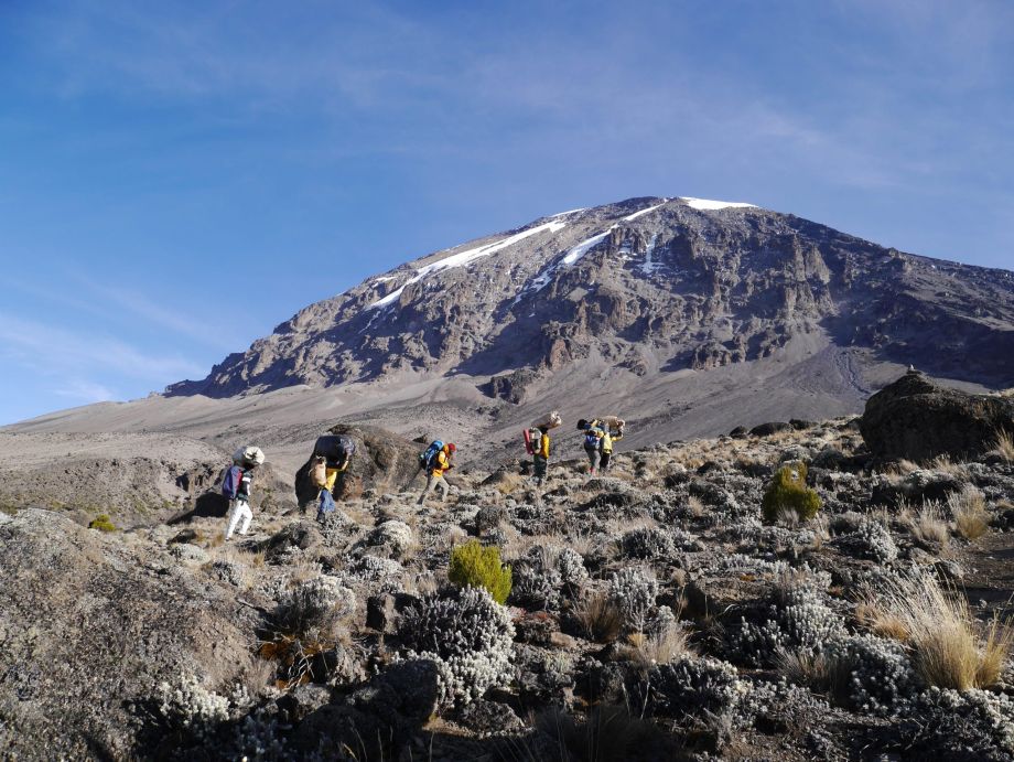 ascension kilimandjaro voie machame