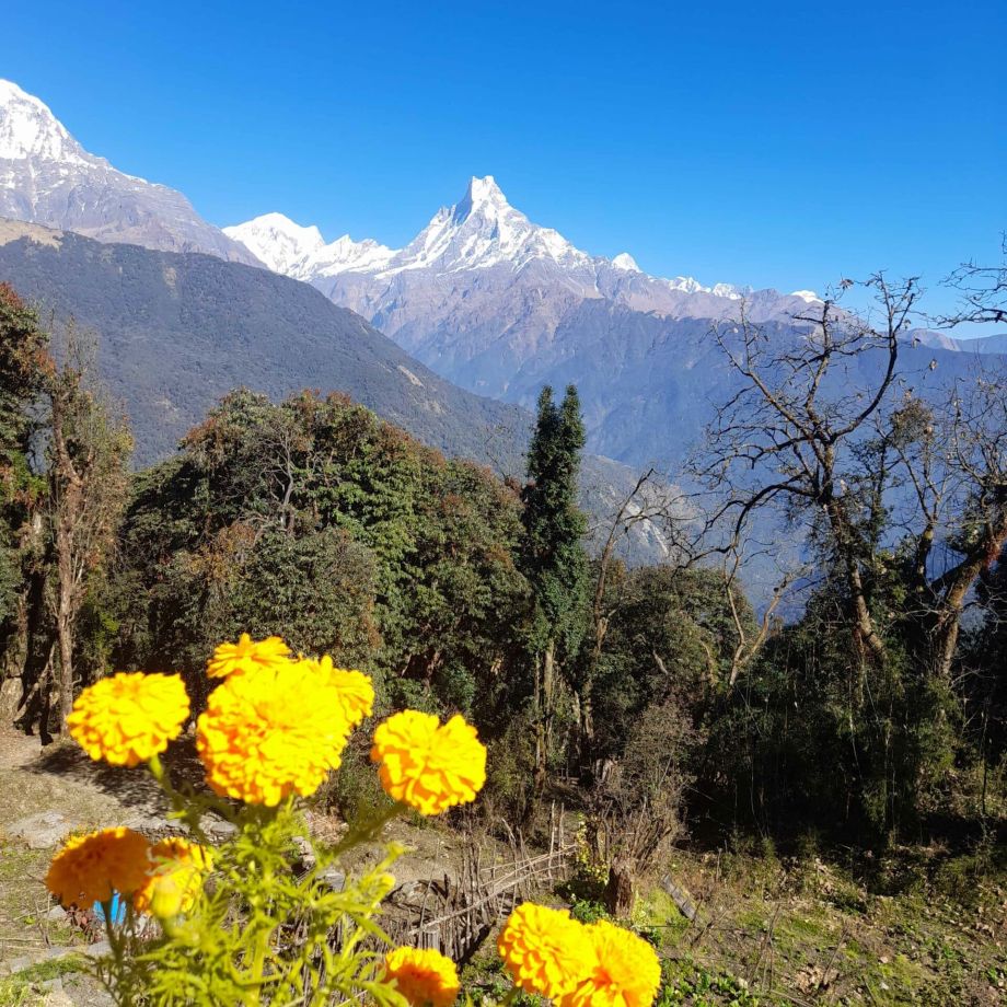 trekking sanctuaire des annapurnas