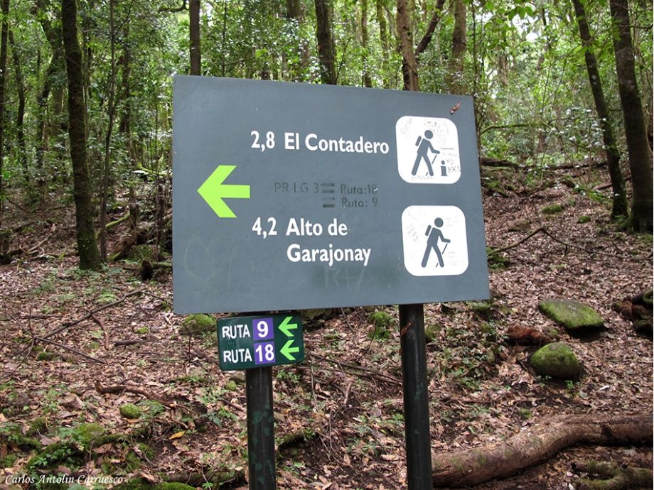 randonnée liberté la Gomera