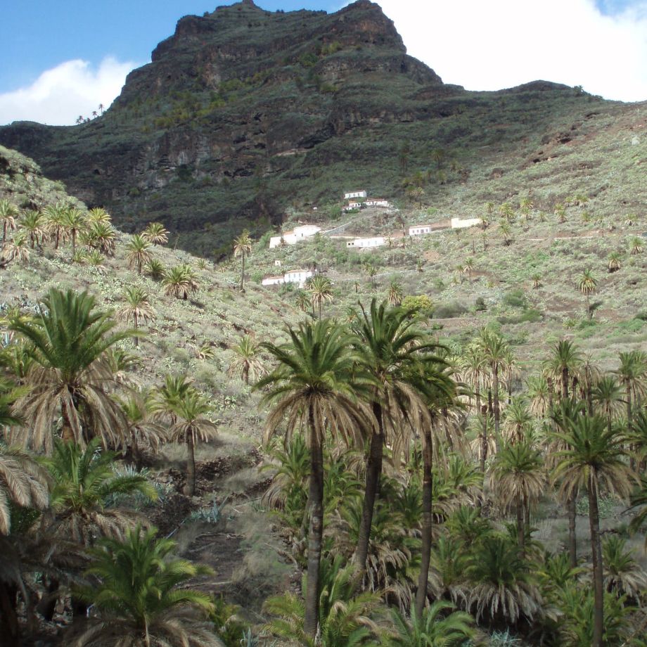 randonnée liberté la gomera