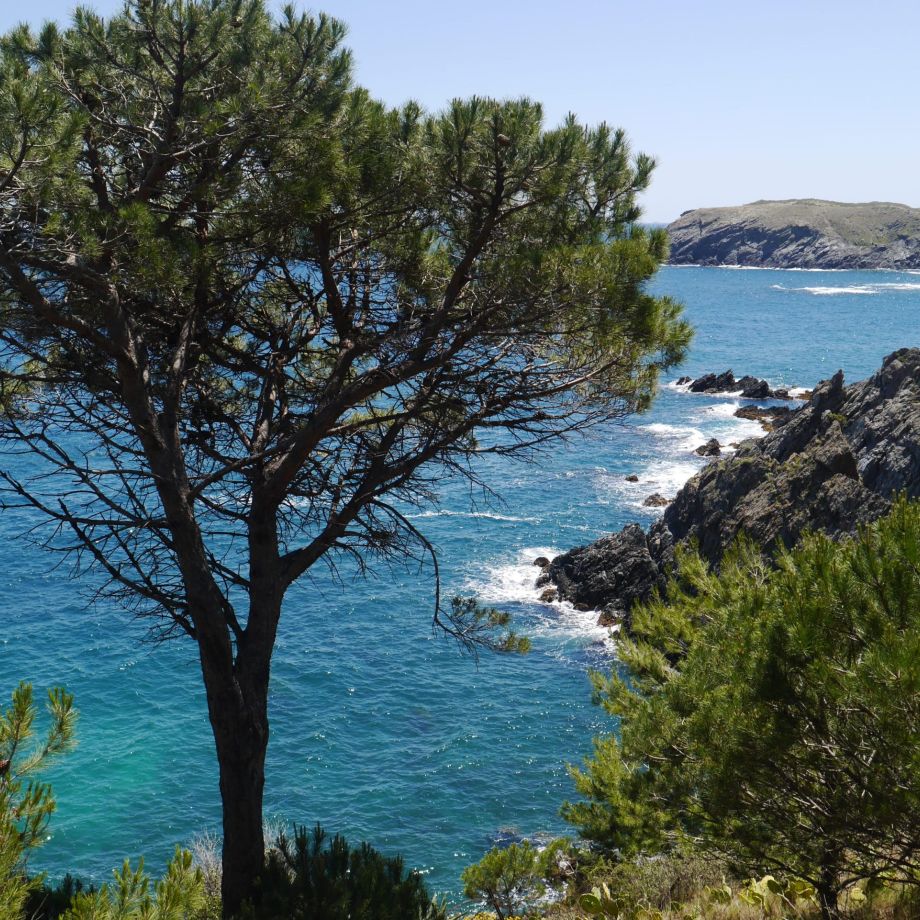 randonnée collioure cadaques