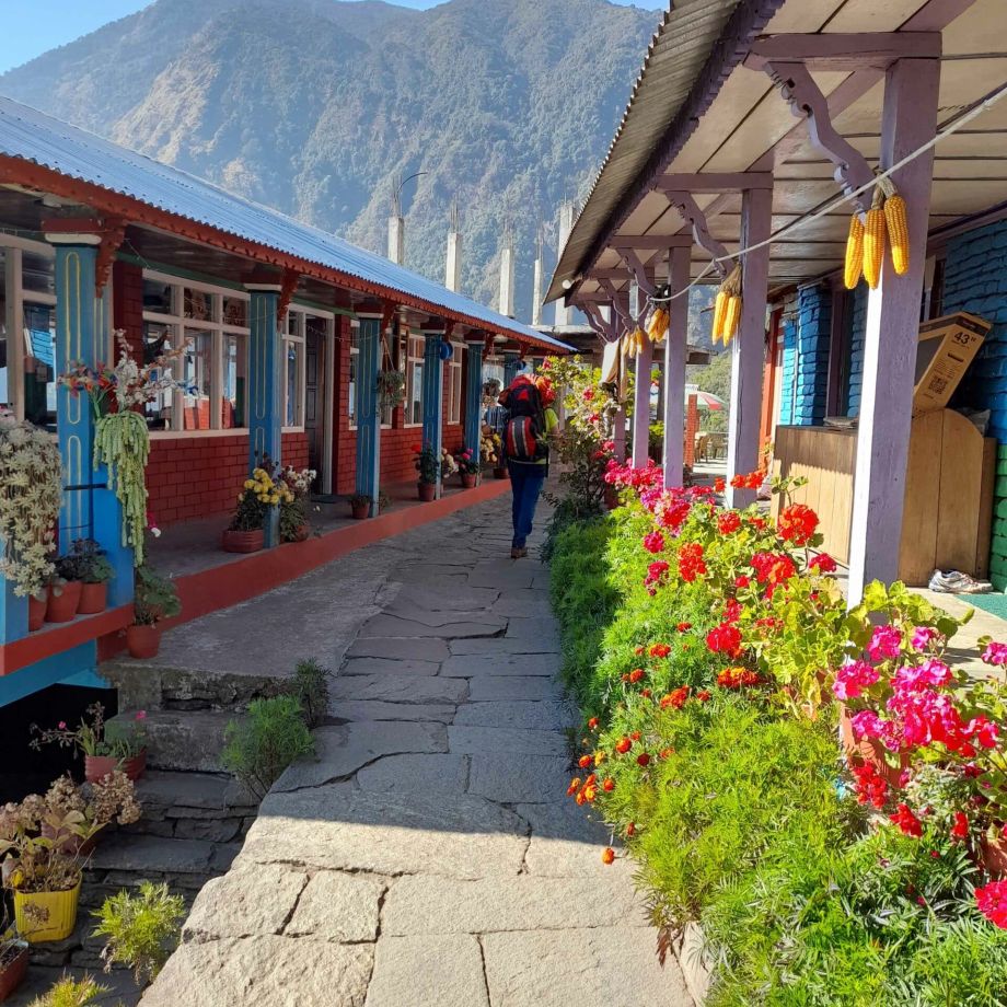 trekking himalaya nepal