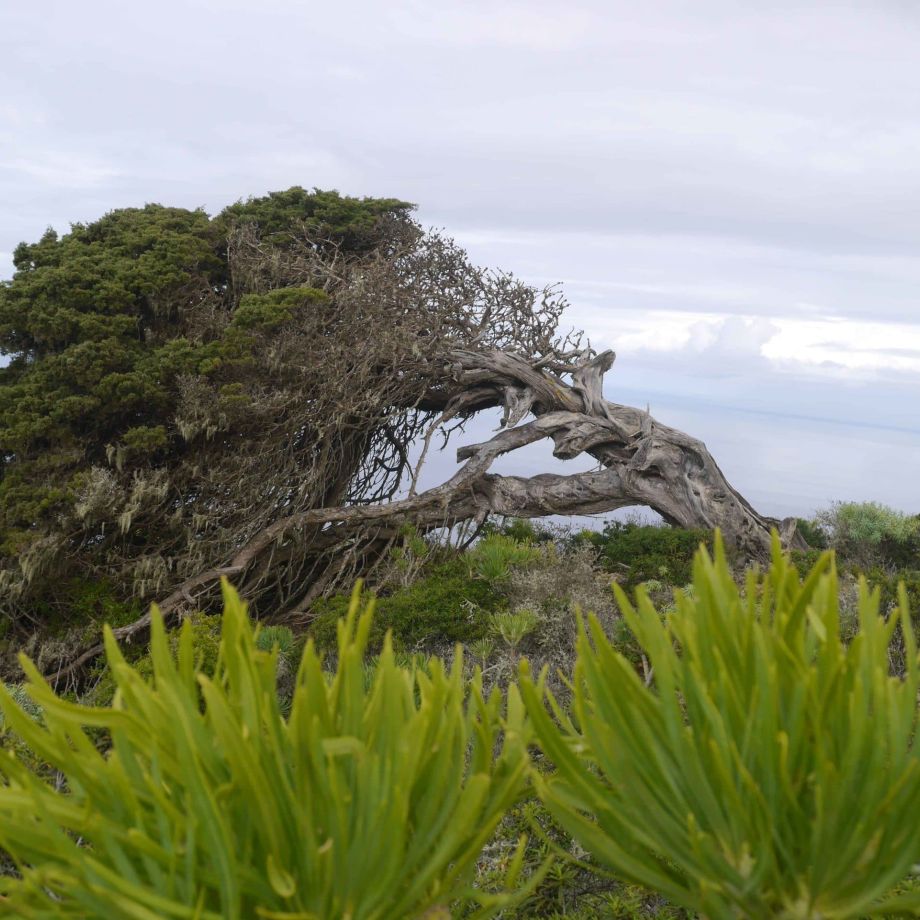 randonnée liberté el hierro