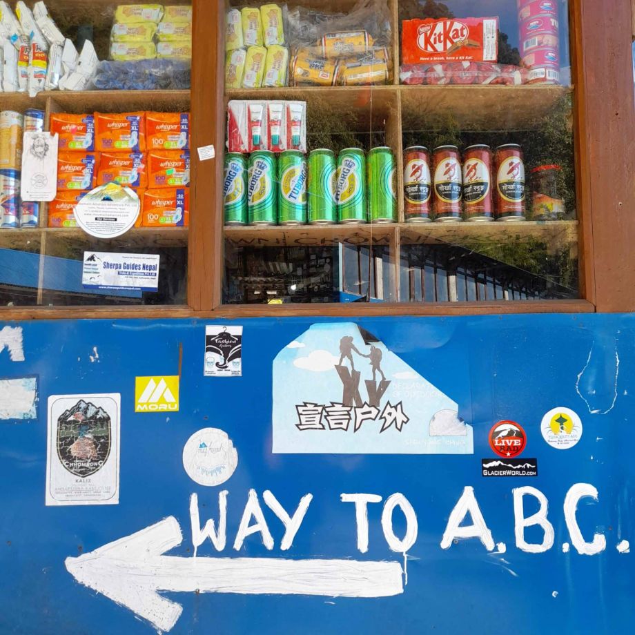 trekking sanctuaire annapurnas népal