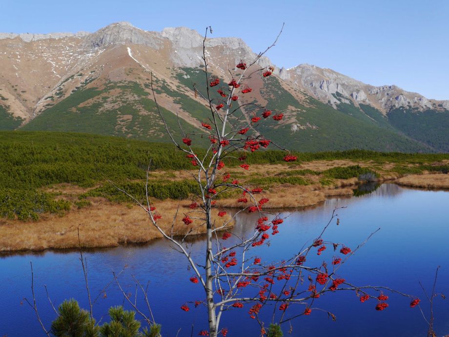 trekking hautes tatras